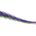 1551.06.88=(8 шт/упак) ц:pal 06 violet lime berry