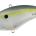 1813835=Sinking, Ghost American Shad, Color CCC3270