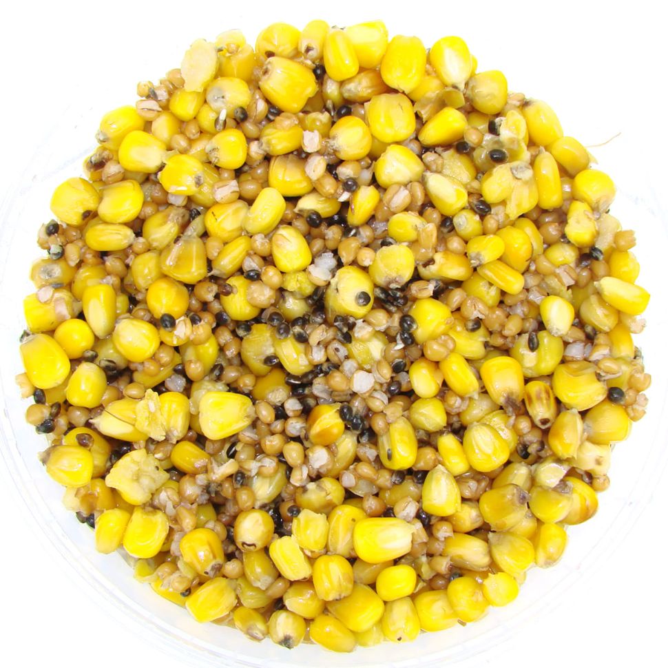 Зерновой микс Spod Mix 2.3л (кукуруза, конопля, зерно)