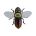 4525807180947=Chartreuse Back Cicada