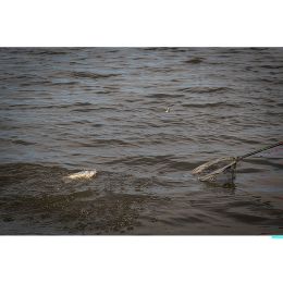Кормушка Matrix Plastic Bottom Weighted Feeder