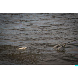 Кормушка Matrix Plastic Bottom Weighted Feeder