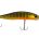 1809111=, Color ASA3146 Gold Perch