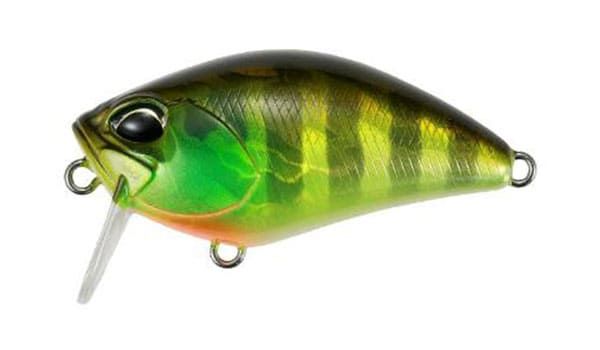 Воблер DUO Realis Crank 50SSR Kabuki