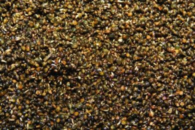 Семена конопли Dynamite Baits 2,5л Hempseed