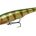 76792=25g Perch