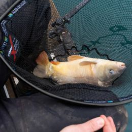 Голова подсака Preston Carp XS Landing Net