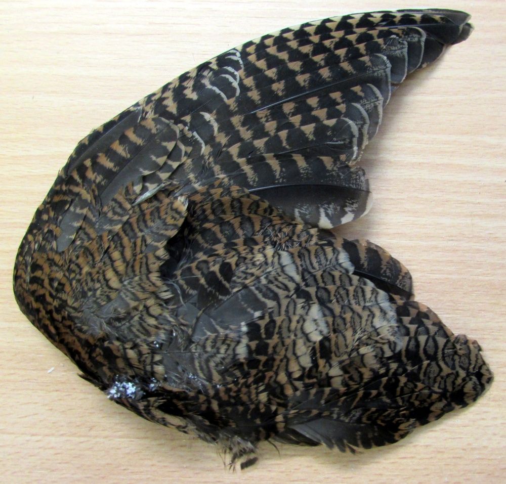 Крылья вальдшнепа парные Veniard Woodcock Whole Wings Natural