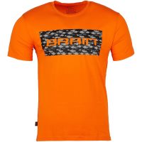 Футболка Brain 2022 Orange