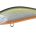 1811687=Sinking, Color MNI4047 Tennessee Shad