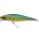 1550612=Mahi Mahi