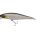 1550615=Baitfish