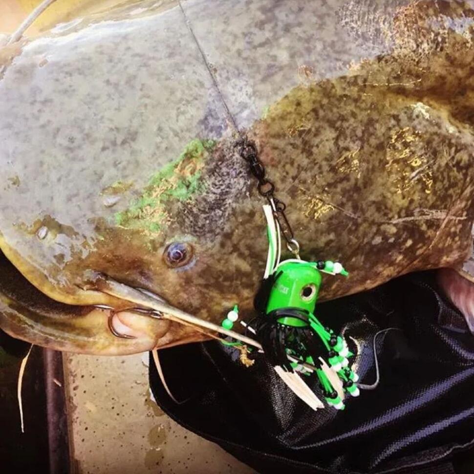 Приманка для сома Madcat Clonk Teaser The Original 150g