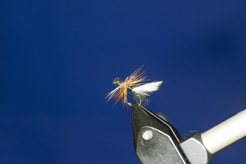 Мушка сухая Flying Black Ant 14