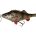 61800=20cm SS 100g Perch