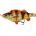 61802=20cm SS 100g Albino
