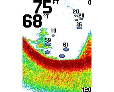 Эхолот Humminbird Fishing Buddy 140c Экран 3,5", 256-цветной. Сонар: однолучевой вниз/в сторону