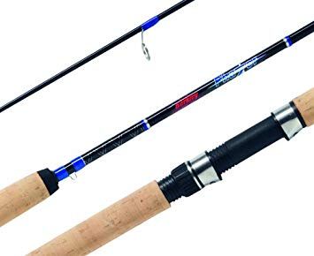 Спиннинг Berkley Phazer