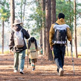 Телескопические треккинговые палки 56-120 cm, Naturehike ST01, 3 части, NH17D001-Z