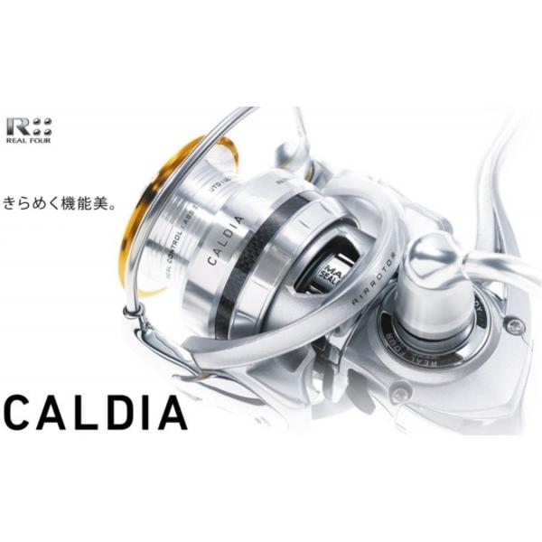 Катушка Daiwa Caldia 11