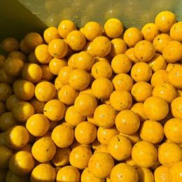 Бойл прикормочный Mad Carp 24мм, 1кг