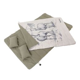 Двухместный спальный мешок с подушками Naturehike NH21MSD06