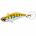 F1264-HOYM=40mm, Color Orange Trout