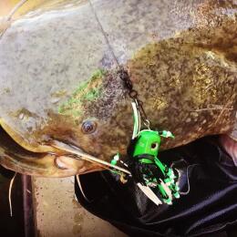 Приманка для сома Madcat Clonk Teaser Treble Hook №3/0 200Gr