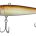 1919.00.46=8 Zander