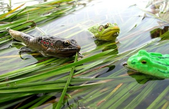 Лягушка Koppers Frog (walking) Лягушка Koppers Frog (walking)