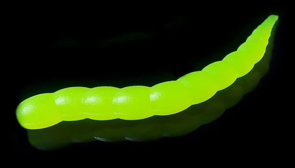 Форелевый силикон Jara Buf Worm 65 Сыр