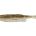76975=, 11g, Holo Baitfish, 1шт