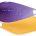 3436046=Color GLT2 Purple Yellow