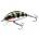 F1166-YP=Color Yellow Perch