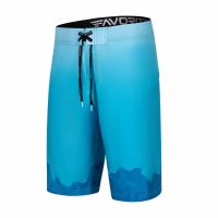 Шорты Favorite Johny Board shorts Blue