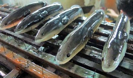 Мягкая приманка, неоснащенная Savage Gear LB Real Eel