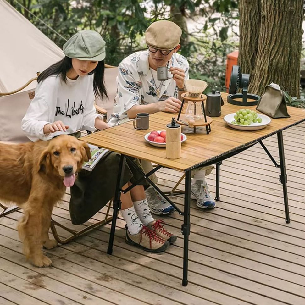 Телескопический стол Naturehike NH19Z003-D MW03 outdoor telescopic folding table