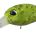 7397427=mm, 2.8g Color M112 Clear Avocado