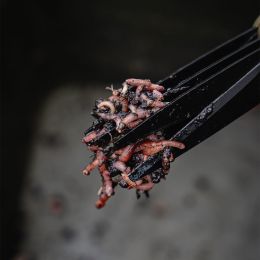 Ножницы Avid Carp Worm Chopperz Carp Fishing
