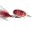 60563=12g Reflex red