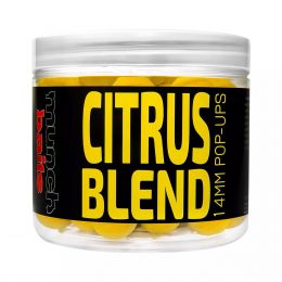 Поп-апы Munch Baits Citrus Blend Pop Ups