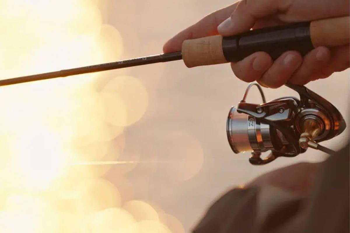 Спиннинг ValkeIN DainsleiF Black Vespine