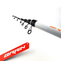 Удилище болонское Brain Blast Bolo SE